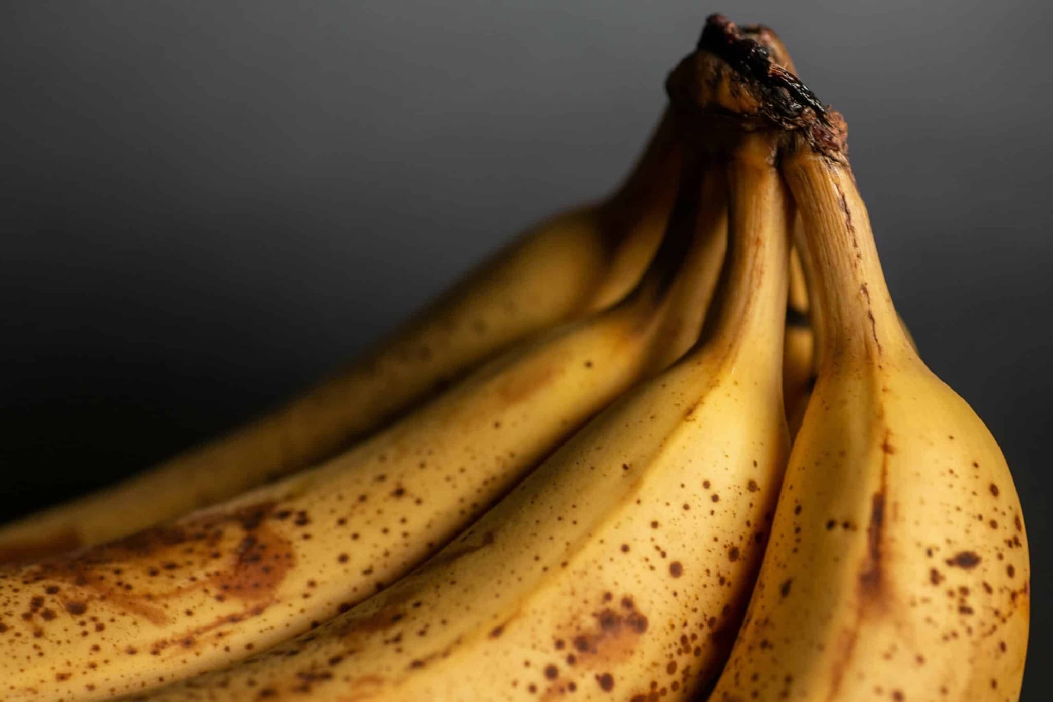 OG image for fruitvliegjes-bestrijden